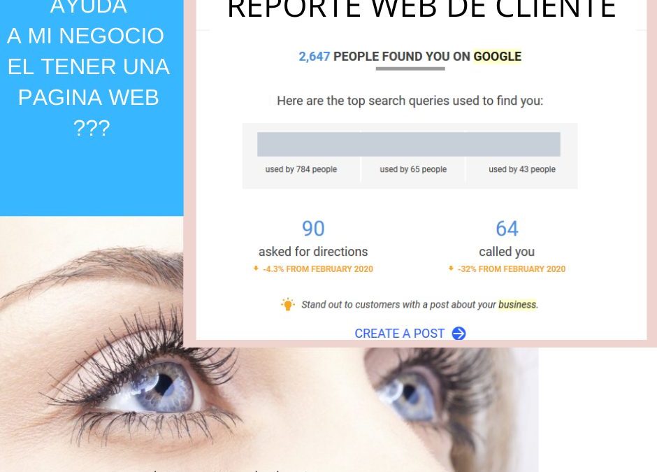 Why Every Tampa Bay Business Needs a Website in 2026